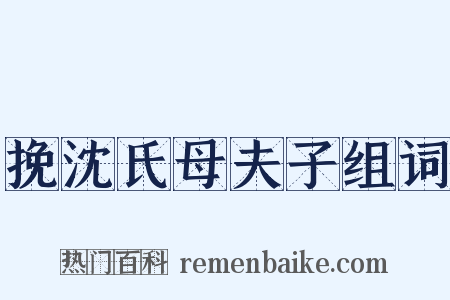 挽沈氏母夫子组词是什么意思的图片